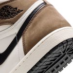 Кроссовки Nike Air Jordan 1 Retro High OG «Dark Mocha» мужсие