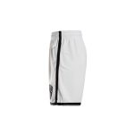 Nike x NBA Brooklyn Nets Swingman Shorts «White»