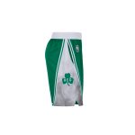 Nike x NBA Boston Celtics Straight Shorts «Green»