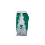 Nike x NBA Boston Celtics Straight Shorts «Green»