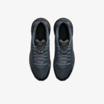 Кроссовки Nike Air Max Pulse Roam «Dark Smoke Grey»