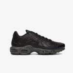 Кроссовки Nike Air Max Plus «Black Tea»