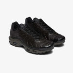 Кроссовки Nike Air Max Plus «Black Tea»