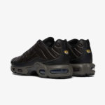 Кроссовки Nike Air Max Plus «Black Tea»