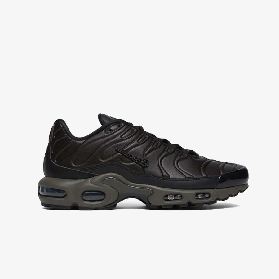 Кроссовки Nike Air Max Plus «Black Tea»