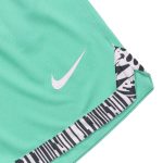 Шорты Nike Dri-Fit DNA Shorts «Lake Green»