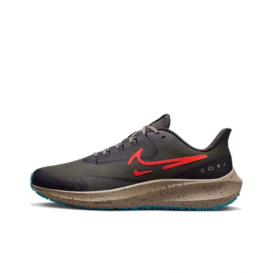 Кроссовки Nike Air Zoom Pegasus 39 Shield «Medium Ash»
