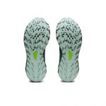 Кроссовки Asics Trabuco 10 GTX «Black / Soothing Sea»